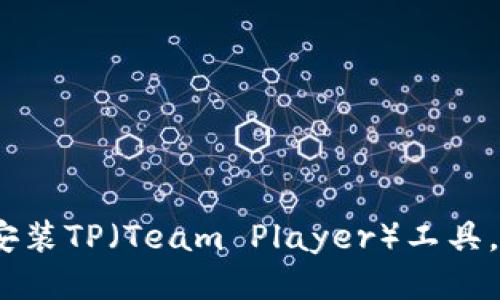 全面指导:如何下载安装TP(Team Player)工具,适合新手的详细教程