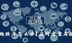 区块链平台跑路了怎么办？应对方案与