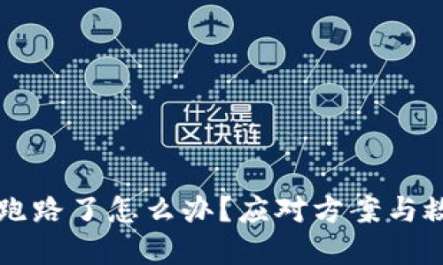区块链平台跑路了怎么办?应对方案与救赎之路详解