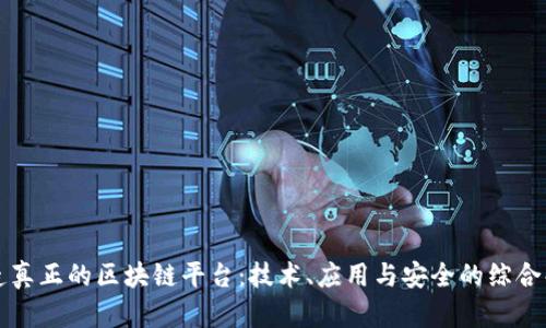 打造真正的区块链平台:技术、应用与安全的综合解析