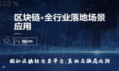 揭秘区块链交易平台：真相与骗局之辩
