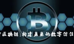 解密区块链：构建未来的数字信任平台
