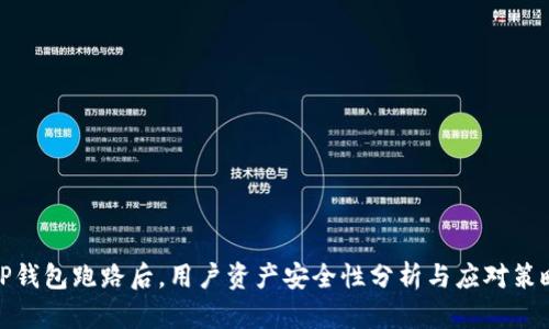 TP钱包跑路后,用户资产安全性分析与应对策略