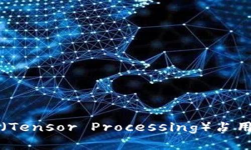如何有效解决TP(Tensor Processing)占用内存过大的问题