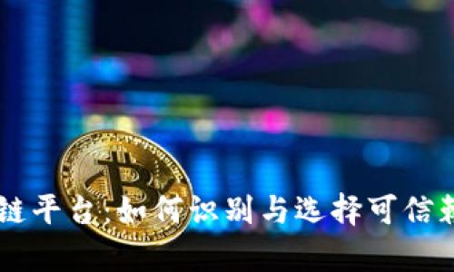 揭秘真实区块链平台:如何识别与选择可信赖的区块链项目