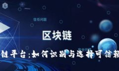 揭秘真实区块链平台：如何识别与选择