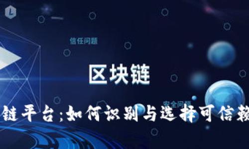 揭秘真实区块链平台:如何识别与选择可信赖的区块链项目