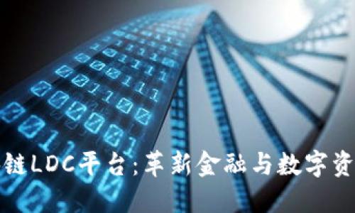 探索区块链LDC平台:革新金融与数字资产的未来