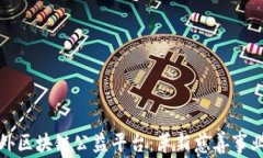 探索国外区块链公益平台：革新慈善事
