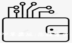 全面解析TP钱包APP苹果版：您数字资产
