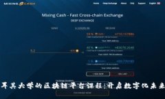 探索土耳其大学的区块链平台课程：开