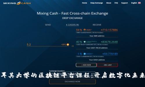 探索土耳其大学的区块链平台课程:开启数字化未来的门户