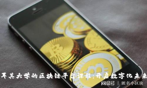 探索土耳其大学的区块链平台课程:开启数字化未来的门户