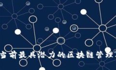 全面解析：当前最具潜力的区块链管理