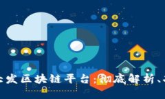 探索哈希竞猜大发区块链平台：彻底解