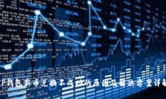 TP钱包新币兑换不成功的原因及解决方