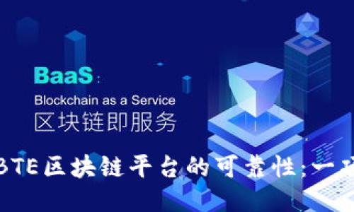 深入探索BTE区块链平台的可靠性：一项全面评测