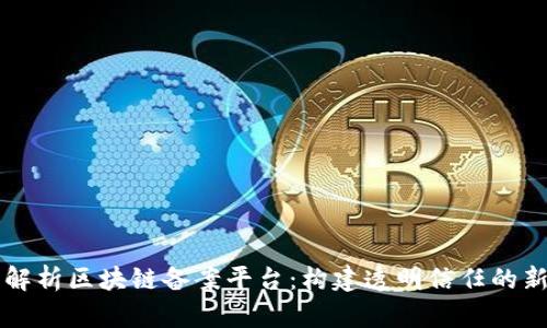 深度解析区块链备案平台:构建透明信任的新未来