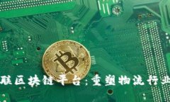传化智联区块链平台：重塑物流行业的