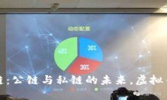 深入探索区块链：公链与私链的未来，