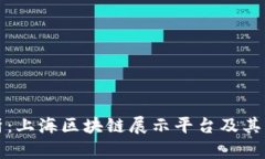 全面解析：上海区块链展示平台及其应