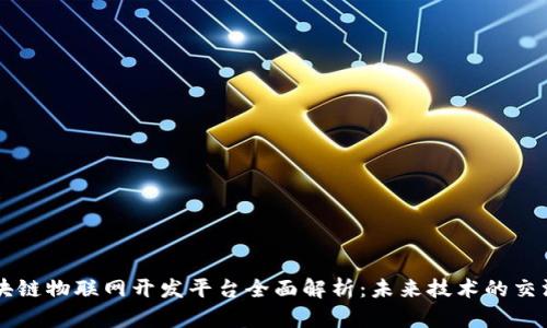区块链物联网开发平台全面解析:未来技术的交汇点