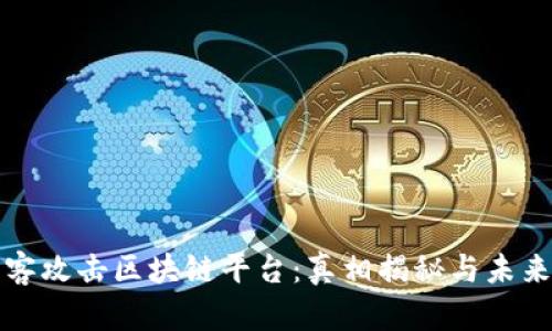 : 黑客攻击区块链平台:真相揭秘与未来展望