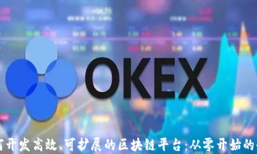 程序员如何开发高效、可扩展的区块链平台:从零开始的全方位指南