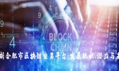 全面分析合肥市区块链交易平台：发展