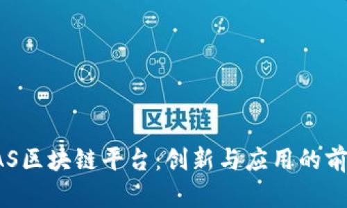 SAS区块链平台:创新与应用的前沿