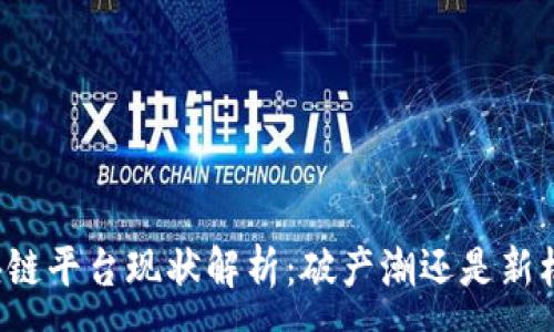 :
区块链平台现状解析:破产潮还是新机遇?