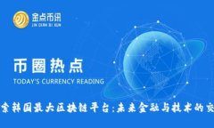 : 探索韩国最大区块链平台：未来金融