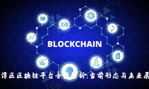 平潭区区块链平台全景解析:当前形态与未来展望