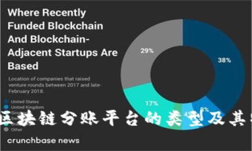 bianoti区块链分账平台的类型及其特点分析