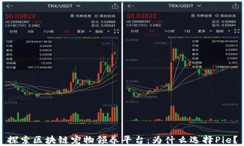 探索区块链宠物领养平台:为什么选择Pie?
