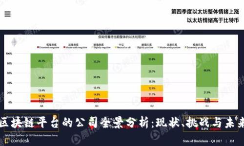 国内区块链平台的公司全景分析:现状、挑战与未来发展