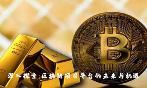 深入探索:区块链项目平台的未来与机遇