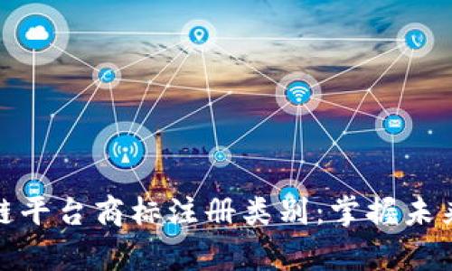 全面解析区块链平台商标注册类别：掌握未来商标保护策略
