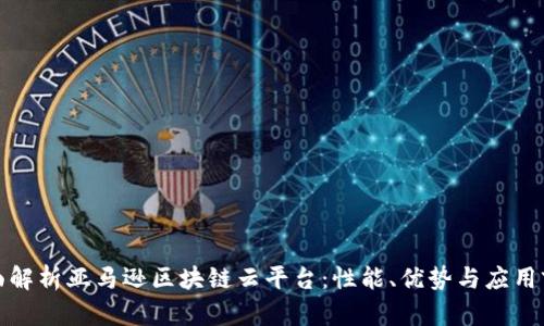 全面解析亚马逊区块链云平台:性能、优势与应用前景