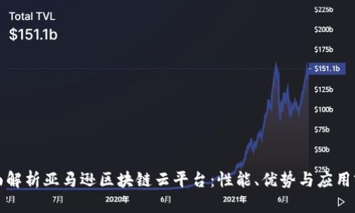 全面解析亚马逊区块链云平台:性能、优势与应用前景