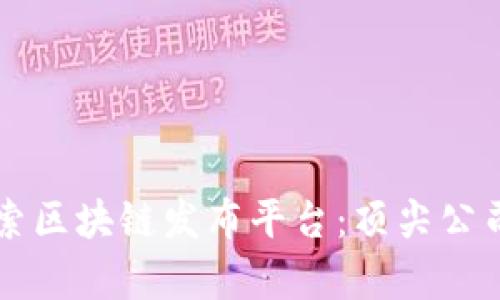 深入探索区块链发布平台:顶尖公司全解析