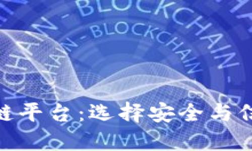 探索正规区块链平台:选择安全与信任的理想之地