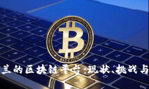 深入探索波兰的区块链平台:现状、挑战与未来可能性