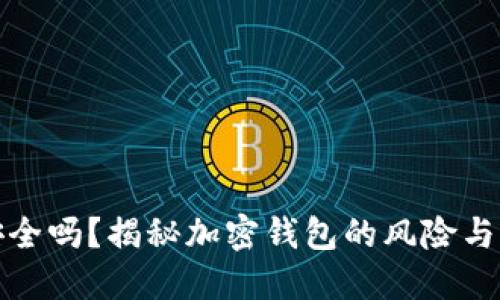 TP钱包安全吗？揭秘加密钱包的风险与防护策略
