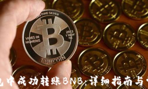 
如何在TP钱包中成功转账BNB：详细指南与常见问题解答