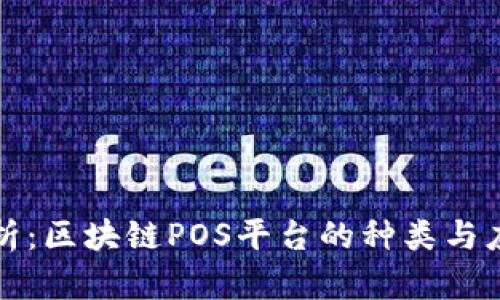 全面解析：区块链POS平台的种类与应用前景