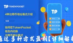 TP钱包如何通过多种方式盈利？详细解析与实用技