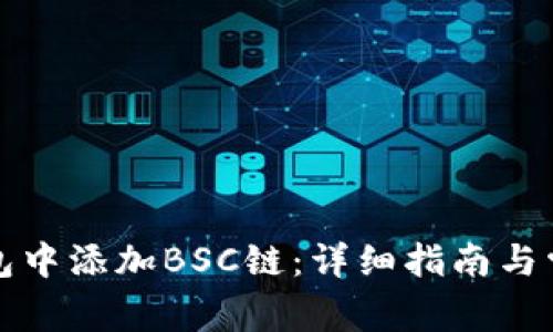如何在TP钱包中添加BSC链:详细指南与常见问题解答