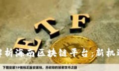 : 全面解析海南区块链平台：新机遇与