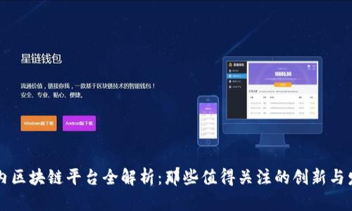 国内区块链平台全解析:那些值得关注的创新与发展
